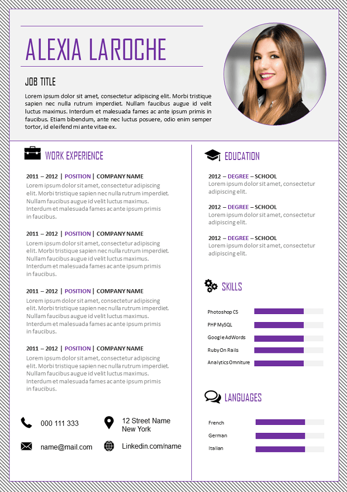 Professional Resume / CV