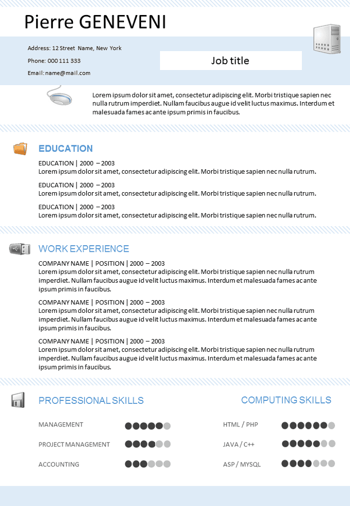 Programmer Resume