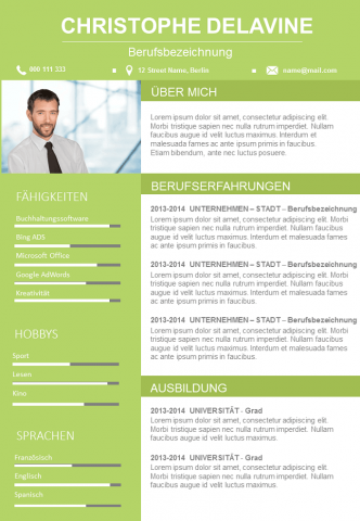 Cv English Vorlagen