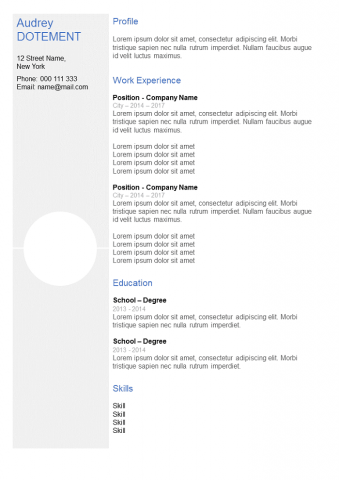Resume Clear grey with column