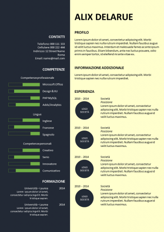 Curriculum Vitae Sobrio